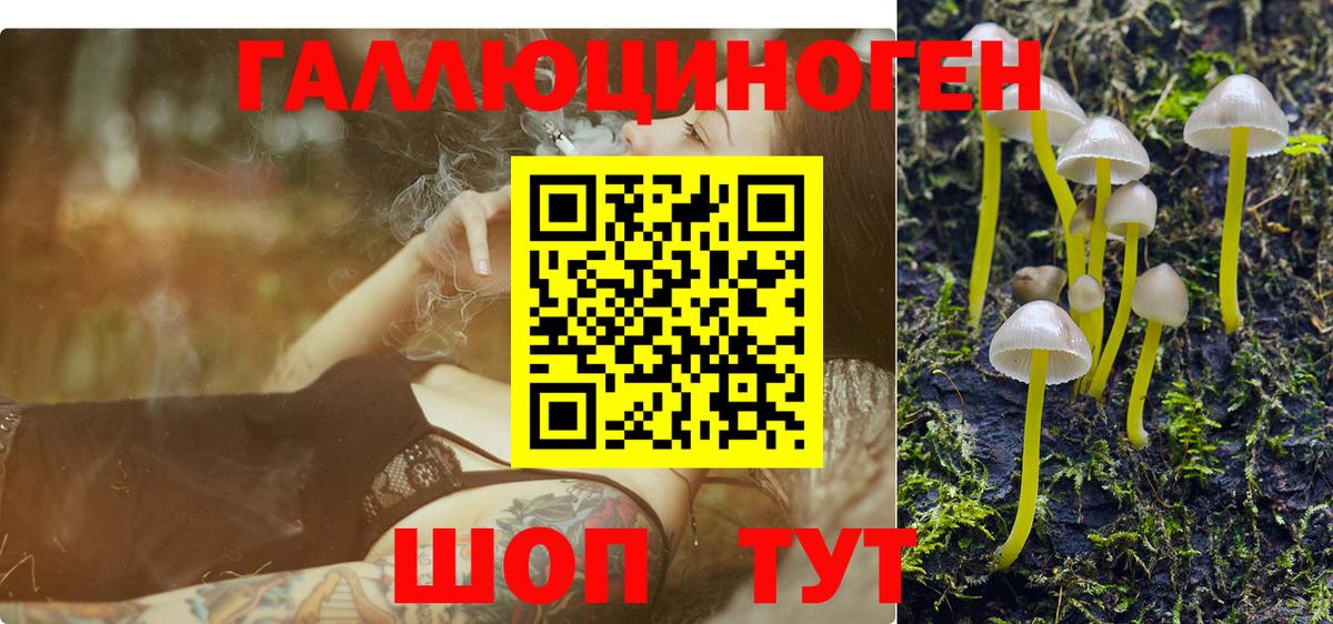 Галлюциногенные грибы Cubensis  Вход с VPN  Кузнецк 