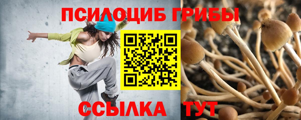 Псилоцибиновые грибы мухоморы Кузнецк